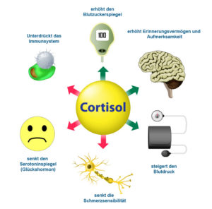 Serotonin im Zusammenspiel mit Cortisol