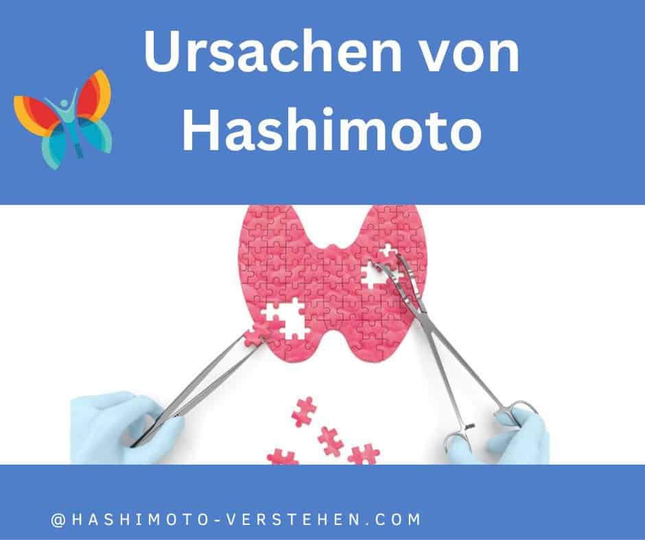 Ursachen von Hashimoto