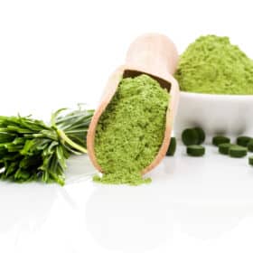 Spirulina Algen für das Immunsystem