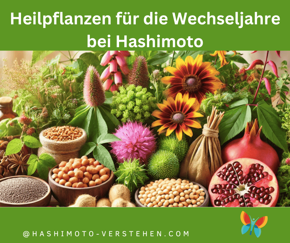 Heilpflanzen für die Wechseljahre bei Hashimoto ätherische Öle für die Wechseljahre bei Hashimoto